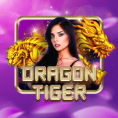 Dragon Tiger card duel cover art